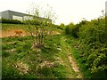 SE1729 : Path bin the new nature area, North Bierley by Humphrey Bolton