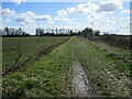 TA0838 : Looking  back  to  Carr  House  farm by Martin Dawes