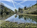 SK1672 : River Wye near Miller's Dale by Dave Pickersgill