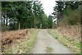 SO3183 : The Shropshire Way approaching Sunnyhill by Jeff Buck