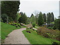 NS9899 : The Japanese Garden at Cowden by M J Richardson