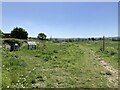 TQ0754 : Entrance to Horsley Meadows by Hugh Craddock