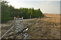 NC7236 : Gateway near Cnoc na Gaoithe, Naver Forest, Sutherland by Andrew Tryon