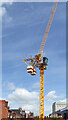 SO9198 : Tower crane by Cleveland Street in Wolverhampton by Roger  D Kidd