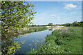 ST7715 : The Stour near Sturminster Newton by Des Blenkinsopp