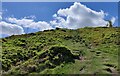 SJ3013 : Steep path ascending Middletown Hill by Mat Fascione