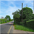 TL4754 : Worts Causeway and an overgrown stinkpipe by John Sutton