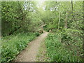 SU4511 : Footbridge over a nameless stream, Shoreburs Greenway by Christine Johnstone