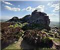 SO3698 : Cranberry Rock on the Stiperstones by Mat Fascione