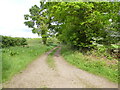 TG3523 : View down Fen Lane by David Pashley