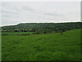  : Looking towards Raincliffe Woods by T  Eyre