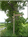 TG2929 : Weavers Way signpost by David Pashley