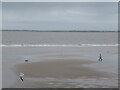 SJ2993 : Beach, Wallasey by Richard Webb