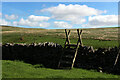 NY9139 : Weardale Way crosses a Ladder Stile by Chris Heaton