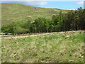 NG3601 : Mixed woodland in Kilmory Glen by M J Richardson