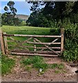 SO3322 : Wooden gate across a field entrance, Pandy by Jaggery