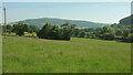 SO1021 : Field and trees north of Aber by Derek Harper