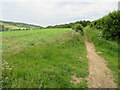 TQ0947 : Public bridleway near Abinger Hammer by Malc McDonald