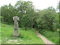 TQ1148 : Samuel Wilberforce monument, Abinger Roughs, near Dorking by Malc McDonald