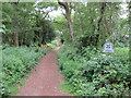 TQ1148 : Path onto Abinger Roughs, near Dorking by Malc McDonald