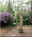 SU9547 : Limnerslease grounds - Modern Celtic Cross - from northeast by Rob Farrow