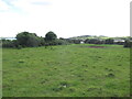 NX5749 : Coastal pasture, Knockbrex by Richard Webb