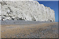 TV5595 : Dark green plant growing on the cliff face near Birling Gap, East Sussex by Adrian Diack