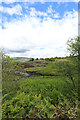 NM6642 : Time out waiting for the Mull ferry by Andy Waddington