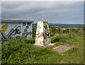 NO3931 : Dundee Law Triangulation Pillar by Rossographer