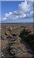 ND3493 : Moorland track, Flotta, Orkney by Claire Pegrum