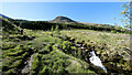 NN2427 : Climbing through forest clearcut towards Fionn Choiren by Andy Waddington