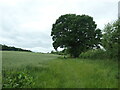 SO4776 : Public footpath north of Yeld Bank by Christine Johnstone