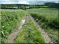 SO4874 : Public bridleway from Hill Halton by Christine Johnstone