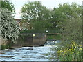 SK1904 : Houses on Oxbridge Way, Tamworth by Christine Johnstone