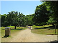 SZ0287 : Path on Brownsea Island by Malc McDonald