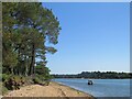 SZ0187 : On the shore of Brownsea Island by Malc McDonald