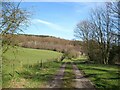 NY3239 : Bridleway near Caldbeck by Adrian Taylor