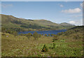 NH1621 : Woodland by Loch Affric by Craig Wallace