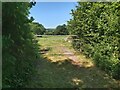 ST0301 : Metal Gate into a Field by John P Reeves