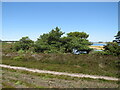 SZ0285 : Glimpse of Poole Harbour from Studland Heath by Malc McDonald