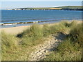 SZ0384 : Dunes at Studland Beach by Malc McDonald