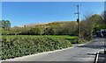 SX8576 : Hill of quarry waste seen from New Bridge, Clay Lane by Robin Stott