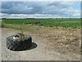 SK9851 : Entrance to a sugar beet field, Leadenham Heath by Christine Johnstone