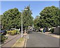 TL4756 : Lichfield Road: heatwave in July 2022 by John Sutton