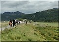 SH6213 : Horse riders on the Wales Coast Path by Mat Fascione