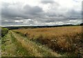 NZ1361 : Looking over fields east of Lead Road by Robert Graham