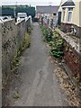 ST3091 : Weed-lined path in July 2022, Malpas, Newport by Jaggery