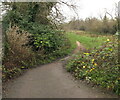 SO2118 : Public footpath on a bank of the River Usk, Crickhowell by Jaggery