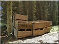 NY8954 : Crates of logs in Kingslaw Plantation by Oliver Dixon