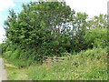 NZ1261 : Roadside gateway on Kyo Lane by Robert Graham